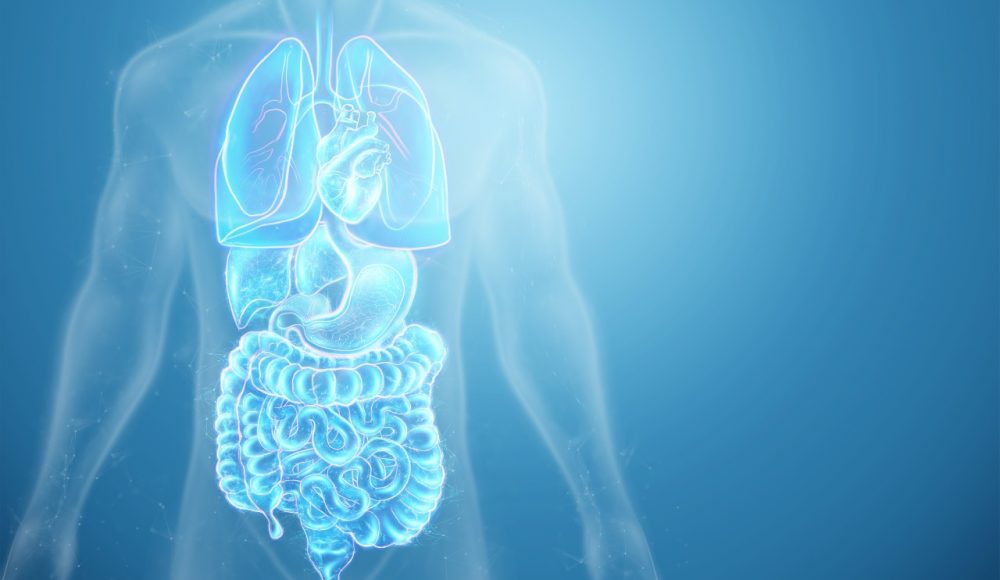 Whole Body Cancer Screening – Female